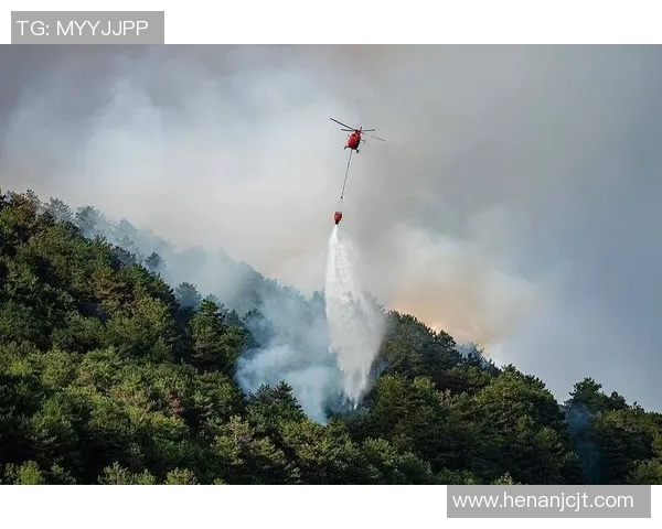 全球气候变化加剧极端天气事件，各国政府加强应对措施并呼吁国际合作
