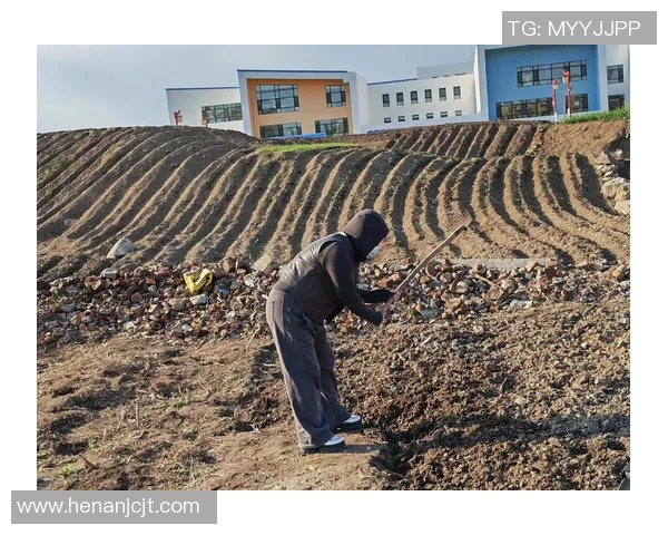 果园中的四季变换与农事活动：从春种到冬藏的自然与人文探索