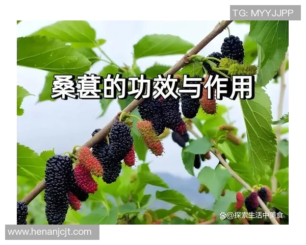 探索水果的多样世界:营养价值、健康益处与创意吃法全解析 探索水果的多样世界:营养价值、健康益处与创意吃法全解析