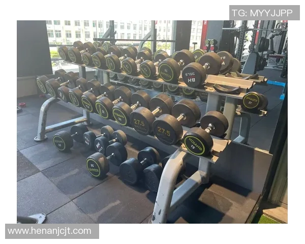 高性价比健身器材品牌推荐助你高效塑造理想身材